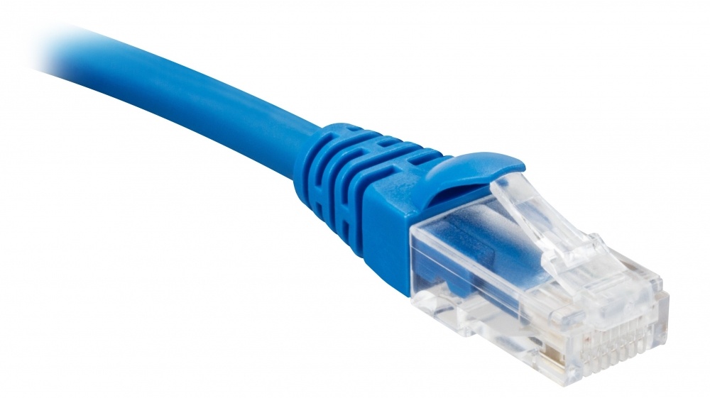 Patch Cord NEXXT CAT6 1 Pie Azul