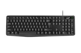 Teclado GENIUS KB-118 Cable USB