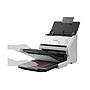 Escáner EPSON DS-530 Color Duplex